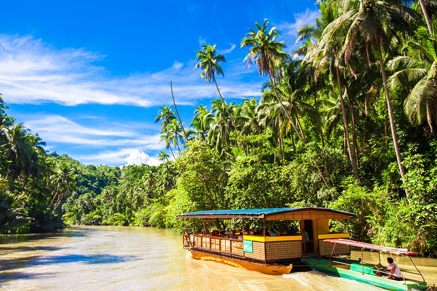 Cruise down River Loboc - Best Things To Do in BoholBohol