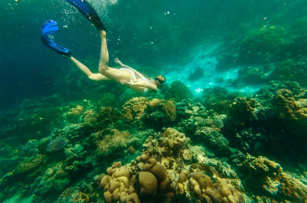 Free Diving in North Phuket